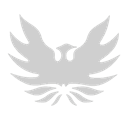 Natty Shirts Logo